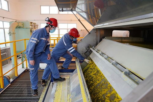 闯过原料产品进出难关 解决生产运行环节难题,上海石化努力降低疫情影响